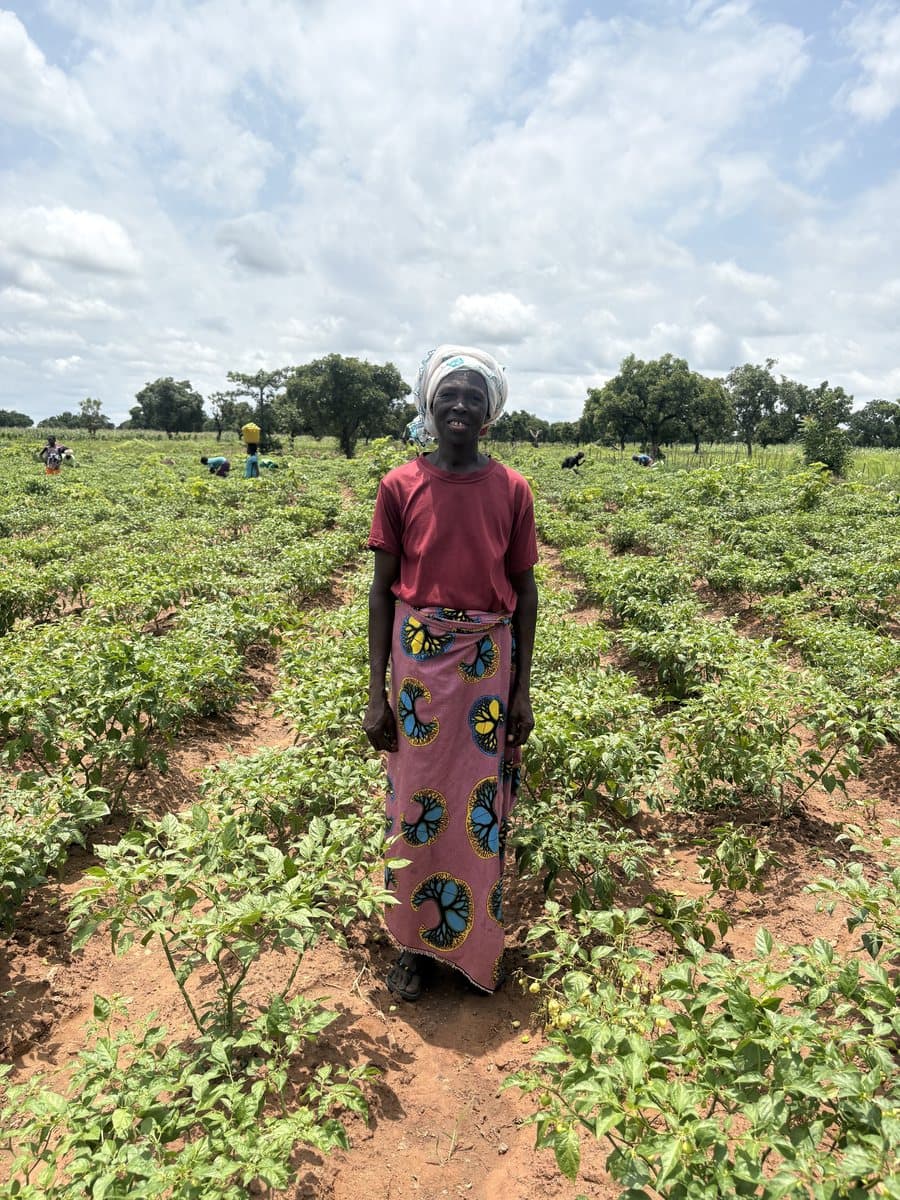 Shea collector · Kumbungu