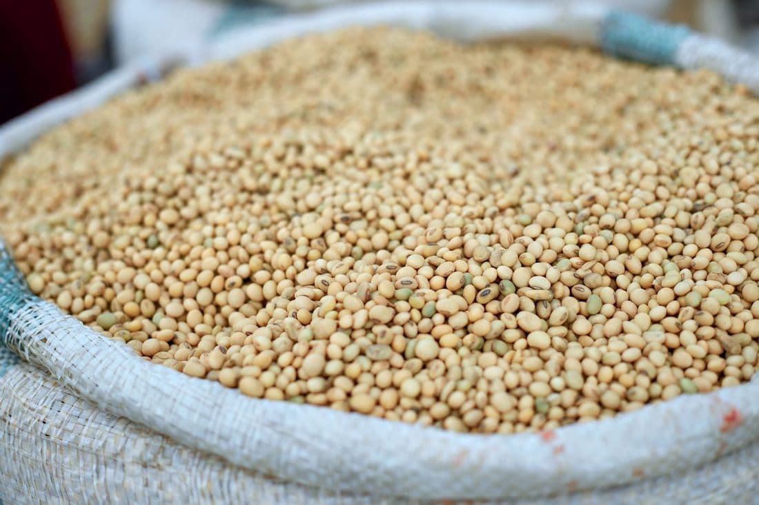 Cleaned and sorted soybeans in a woven sack